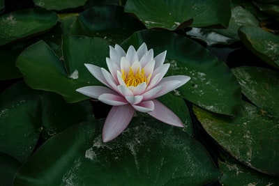 图聚科技